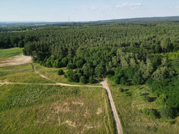 Działka Sprzedaż Daleszewo