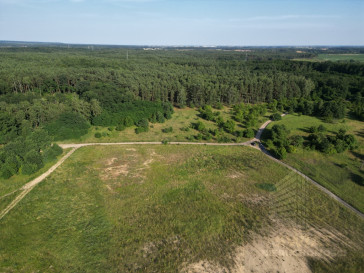 Działka Sprzedaż Daleszewo