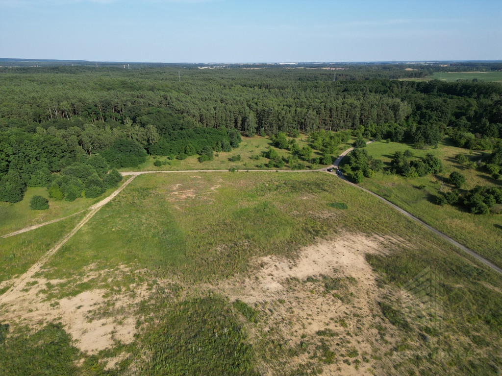 Działka Sprzedaż Daleszewo