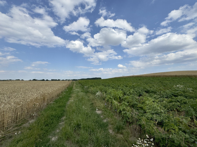 Działka Sprzedaż Bielice 4