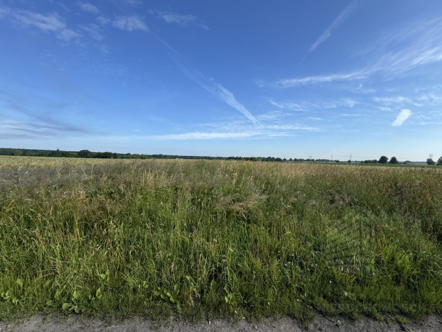 Działka Sprzedaż Goleniów 3
