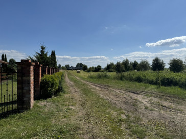 Działka Sprzedaż Lubczyna