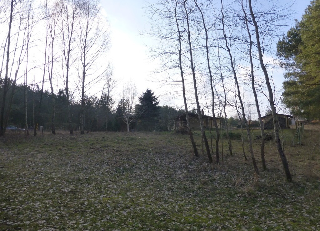 Działka w Golczewie w sąsiedztwie lasu i jeziora