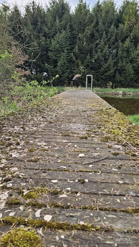 Dom na sprzedaż, Dobra (szczecińska) Sławoszewo, 5 pokoi, 767 m² — MOJ22049, zdjęcie 3