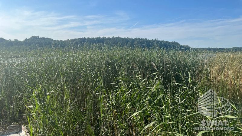 Dom na sprzedaż, Dobra (szczecińska) Stolec, 1 pokój, 20 m² — KOM33046, zdjęcie 5