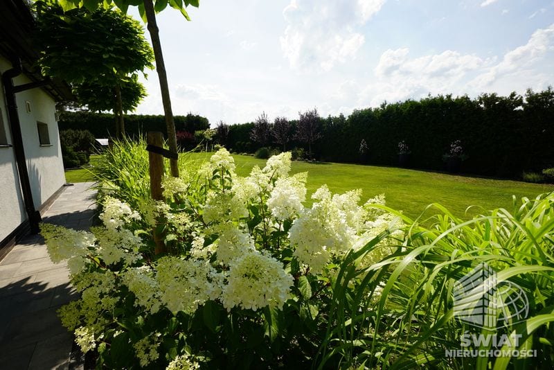 Dom na sprzedaż, Kobylanka Motaniec, 6 pokoi, 230 m² — CIE24082, zdjęcie 1