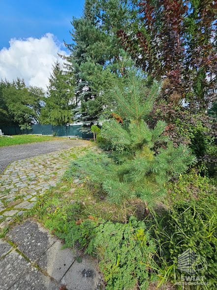 Dom na sprzedaż, Kołbaskowo Stobno, 11 pokoi, 428 m² — AVN22427, zdjęcie 3