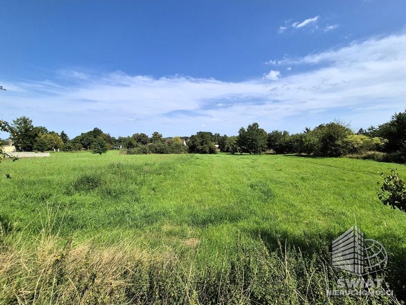 Dom na sprzedaż, Trzcińsko-Zdrój Gogolice, 6 pokoi, 120 m² — 20/13324/ODS, zdjęcie 8