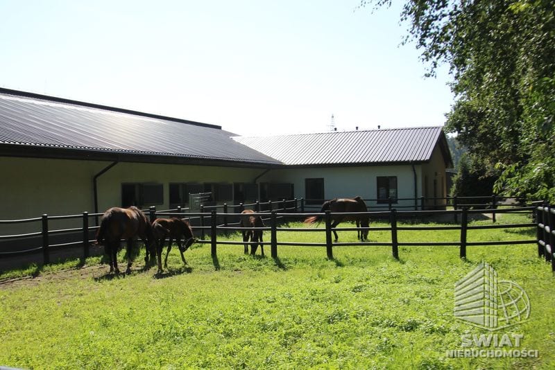 Dom na sprzedaż, Wolin Dobropole, 16 pokoi, 985 m² — BON48446, zdjęcie 7