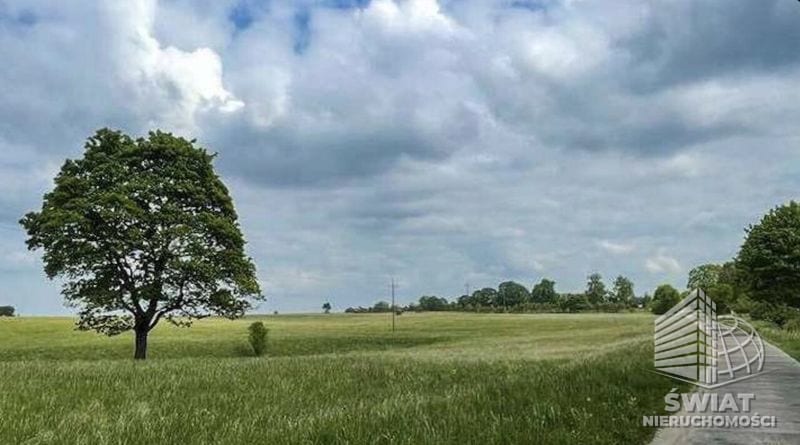 Działka na sprzedaż, Biały Bór Dołgie, 869 m² — CIT25334, zdjęcie 7