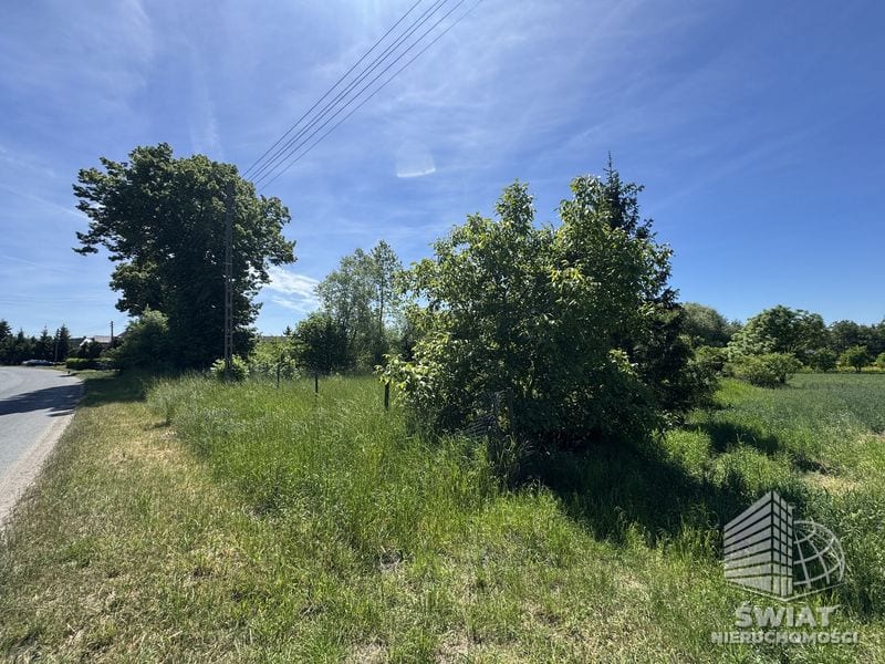 Działka na sprzedaż, Bielice Babin, 5219 m² — BON49570, zdjęcie 6