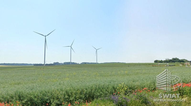 Działka na sprzedaż, Bielice Linie, 4600 m² — MAP22501, zdjęcie 2