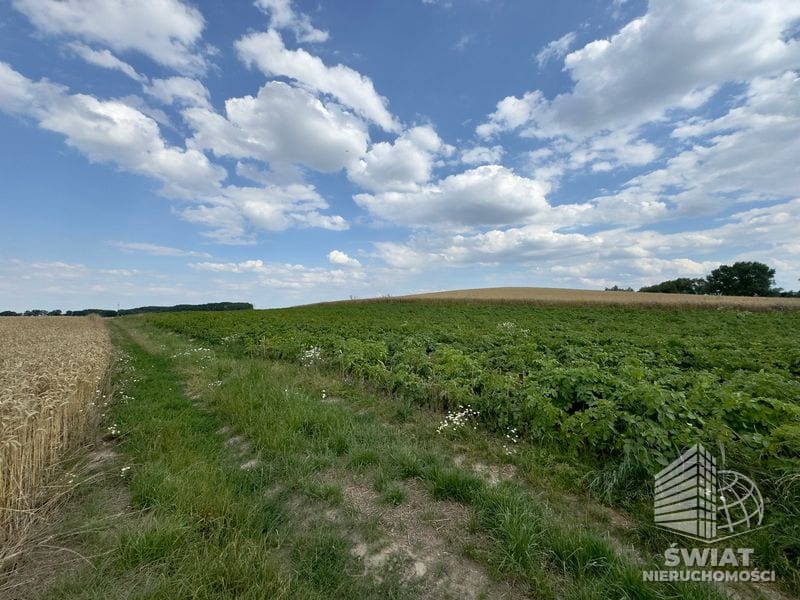 Działka na sprzedaż, Bielice, 2300 m² — MAP22797, zdjęcie 1