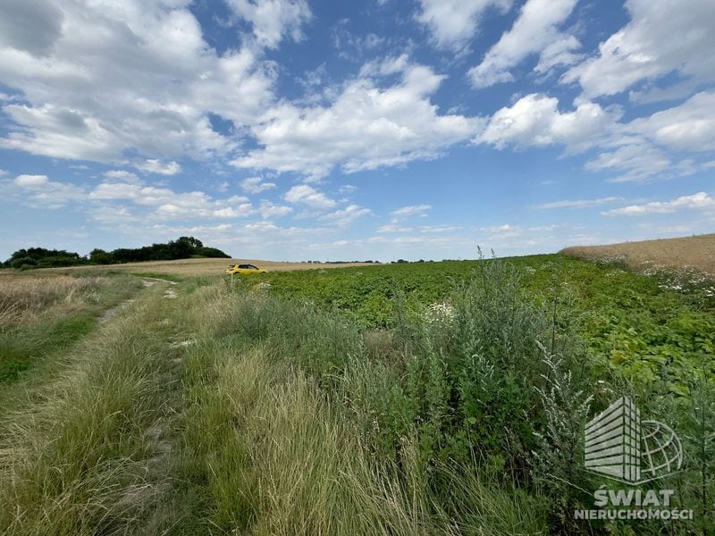 Działka na sprzedaż, Bielice, 2300 m² — MAP22797, zdjęcie 5