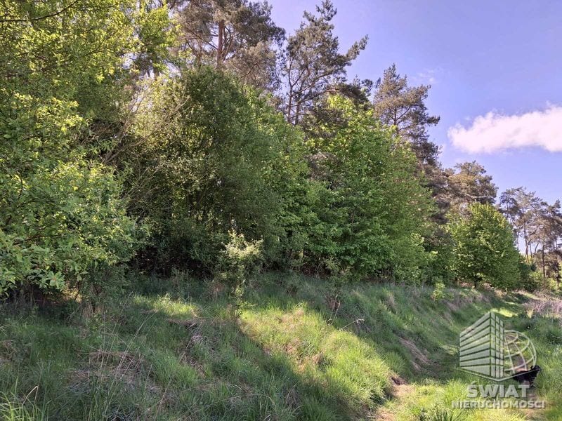Działka na sprzedaż, Bielice Parsów, 9825 m² — MAP22997, zdjęcie 3