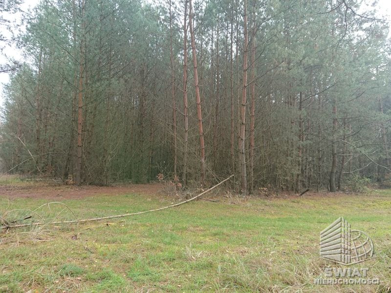 Działka na sprzedaż, Bierzwnik Starzyce, 4818 m² — INB20391, zdjęcie 1