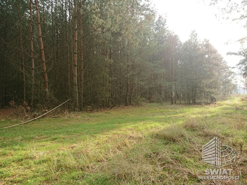 Działka na sprzedaż, Bierzwnik Starzyce, 4818 m² — INB20391, zdjęcie 4