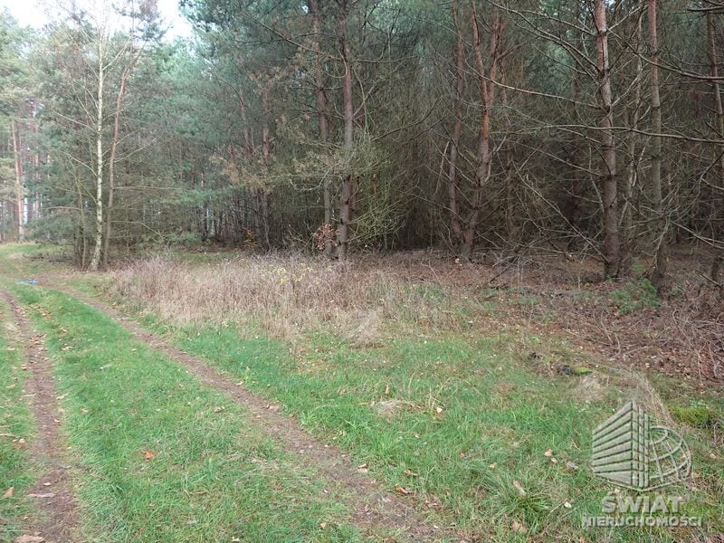 Działka na sprzedaż, Bierzwnik Starzyce, 4818 m² — INB20391, zdjęcie 5