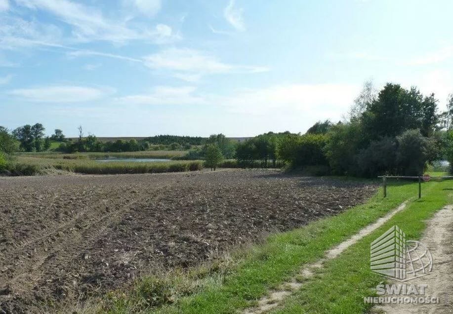 Działka na sprzedaż, Bierzwnik Zieleniewo, 11403 m² — IDN34085, zdjęcie 1