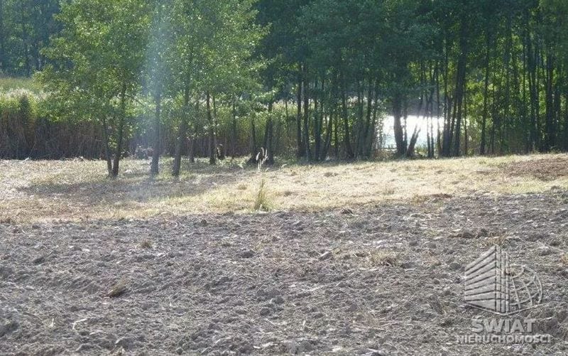 Działka na sprzedaż, Bierzwnik Zieleniewo, 11403 m² — IDN34085, zdjęcie 4