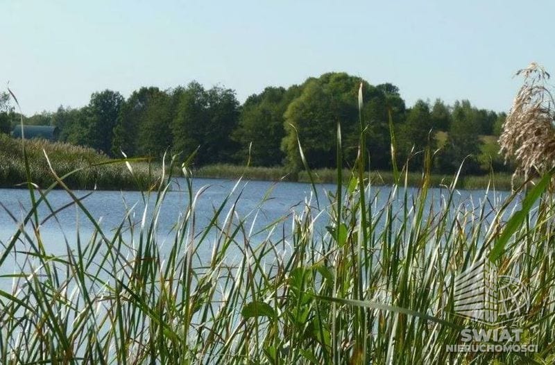 Działka na sprzedaż, Bierzwnik Zieleniewo, 11403 m² — IDN34085, zdjęcie 6