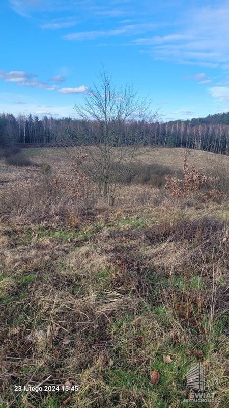Działka na sprzedaż, Bierzwnik Zieleniewo, 1033 m² — INB20557, zdjęcie 7