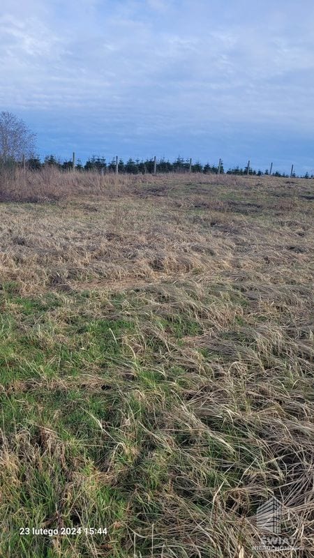 Działka na sprzedaż, Bierzwnik Zieleniewo, 3223 m² — INB20561, zdjęcie 8