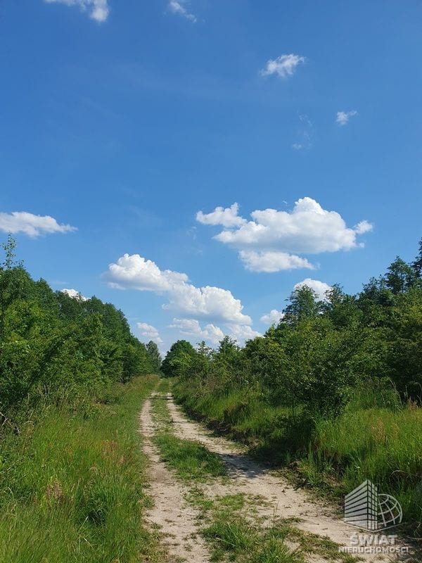Działka na sprzedaż, Bierzwnik Zieleniewo, 3030 m² — INB20564, zdjęcie 4
