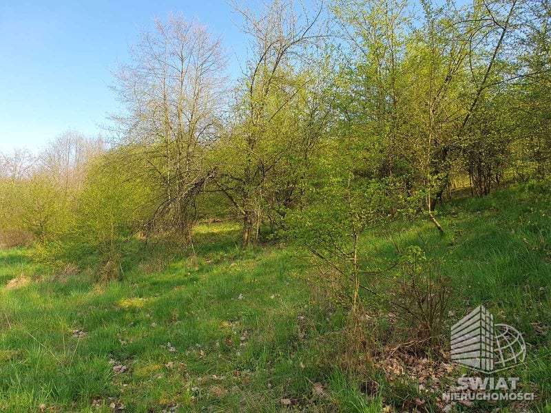 Działka na sprzedaż, Bierzwnik Zieleniewo, 3030 m² — INB20564, zdjęcie 8
