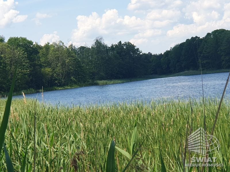 Działka na sprzedaż, Bierzwnik Zieleniewo, 3030 m² — INB20566, zdjęcie 1