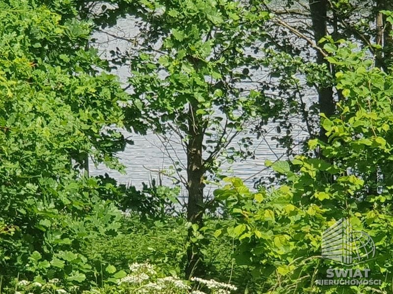 Działka na sprzedaż, Bierzwnik Zieleniewo, 3030 m² — INB20568, zdjęcie 5