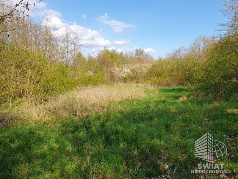 Działka na sprzedaż, Bierzwnik Zieleniewo, 3030 m² — INB20568, zdjęcie 8
