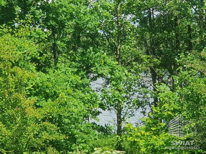 Działka na sprzedaż, Bierzwnik Zieleniewo, 3030 m² — INB20569, zdjęcie 8