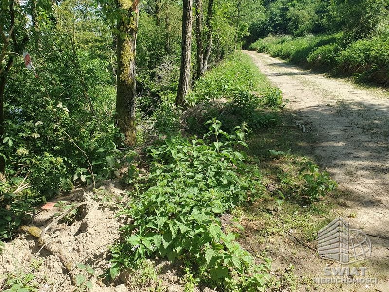 Działka na sprzedaż, Bierzwnik Zieleniewo, 3030 m² — INB20570, zdjęcie 5