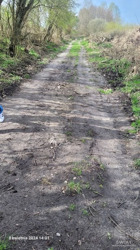 Działka na sprzedaż, Bierzwnik Zieleniewo, 3030 m² — INB20570, zdjęcie 8