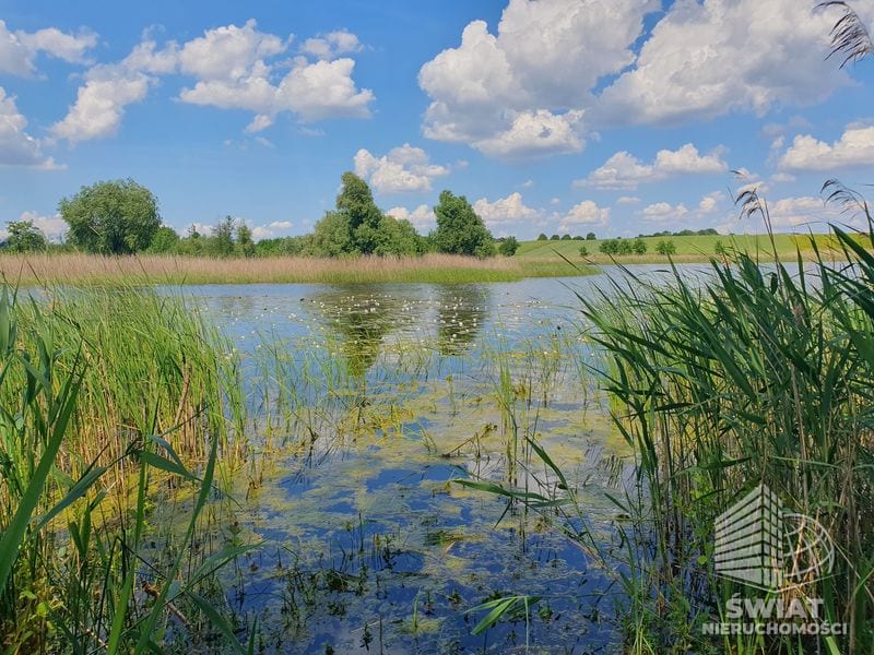 Działka na sprzedaż, Bierzwnik Zieleniewo, 3138 m² — INB20571, zdjęcie 7