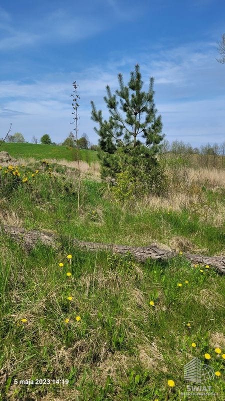 Działka na sprzedaż, Bierzwnik Zieleniewo, 3138 m² — INB20571, zdjęcie 8