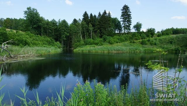 Działka na sprzedaż, Bobolice, 10770 m² — INW29727, zdjęcie 4