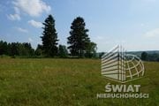 Działka na sprzedaż, Bobolice, 10770 m² — INW29727, zdjęcie 8