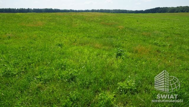 Działka na sprzedaż, Bobolice, 120880 m² — INW29729, zdjęcie 7