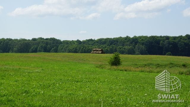 Działka na sprzedaż, Bobolice, 10000 m² — INW29730, zdjęcie 3