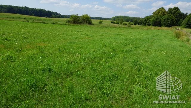 Działka na sprzedaż, Bobolice, 23103 m² — INW29731, zdjęcie 2