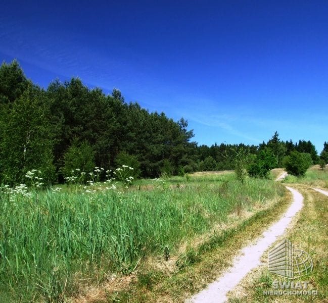 Działka na sprzedaż, Borne Sulinowo Komorze, 3500 m² — CIE23566, zdjęcie 3