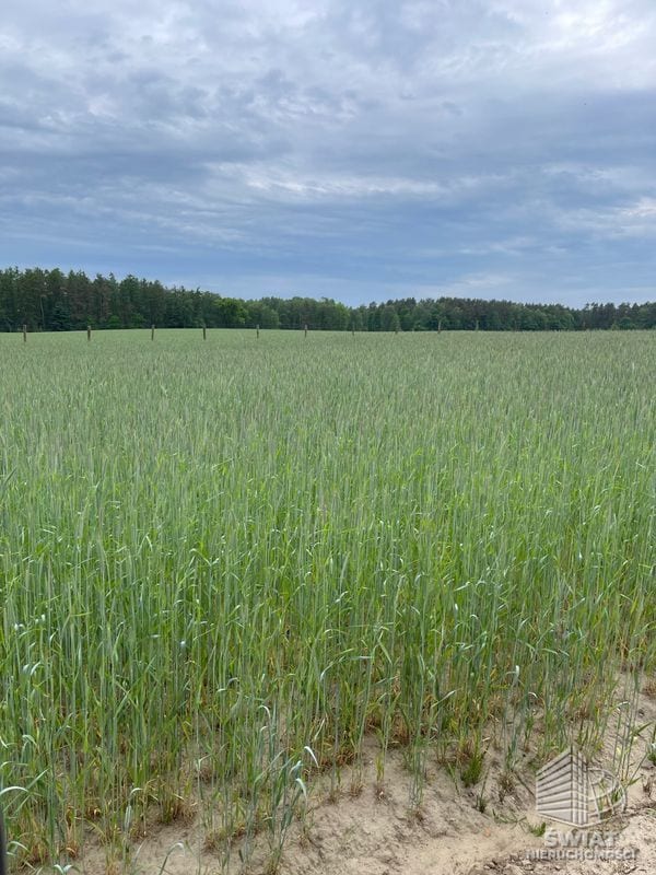 Działka na sprzedaż, Chociwel, 500000 m² — HOR21429, zdjęcie 5