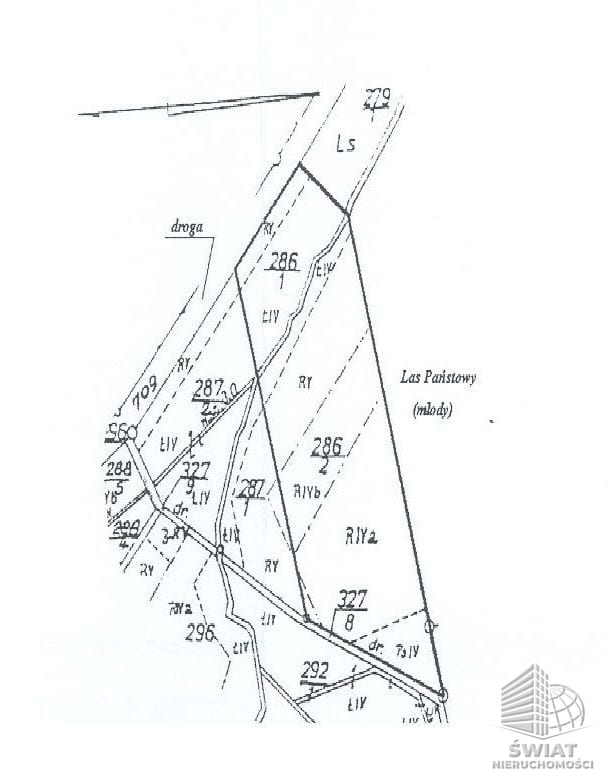 Działka na sprzedaż, Chojna Lisie Pole, 23200 m² — CIE02656, zdjęcie 1