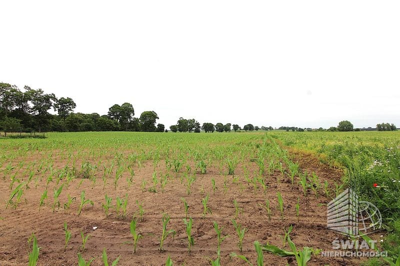 Działka na sprzedaż, Choszczno Gleźno, 30900 m² — HES29336, zdjęcie 1