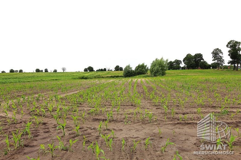 Działka na sprzedaż, Choszczno Gleźno, 30900 m² — HES29336, zdjęcie 5