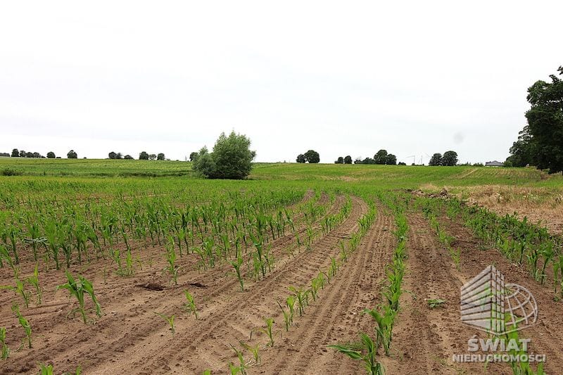 Działka na sprzedaż, Choszczno Gleźno, 30900 m² — HES29336, zdjęcie 6