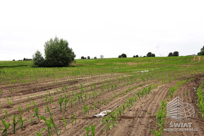 Działka na sprzedaż, Choszczno Gleźno, 30900 m² — HES29336, zdjęcie 7