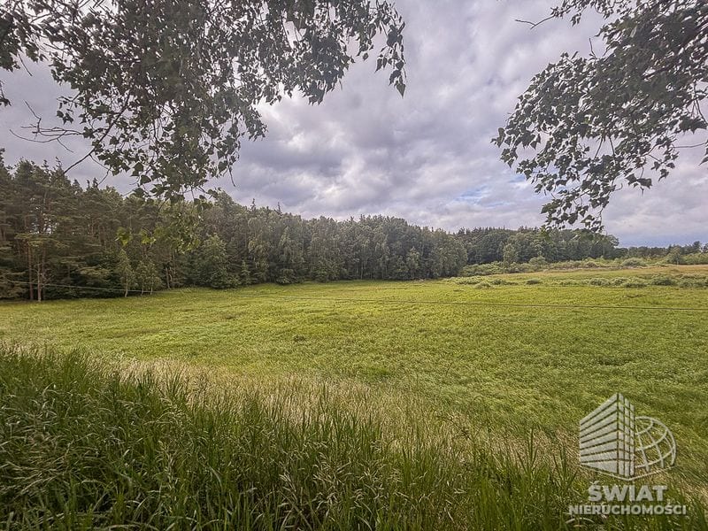Działka na sprzedaż, Czaplinek Piaseczno, 30010 m² — FKT25236, zdjęcie 2